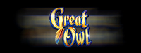 Play Vegas-style slots at Quil Ceda Creek Casino like the exciting Great Owl video gaming machine!