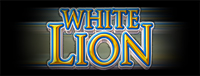 Play Vegas-style slots at Quil Ceda Creek Casino like the exciting White Lion video gaming machine!