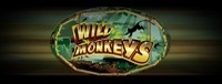 Play Vegas-style slots at Quil Ceda Creek Casino like the exciting Wild Monkeys video gaming machine!
