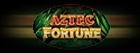 Play Vegas-style slots at Quil Ceda Creek Casino like the exciting Aztec Fortune video gaming machine!