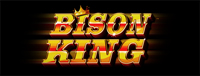 Play Vegas-style slots at Quil Ceda Creek Casino like the exciting Bison King video gaming machine!