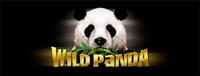 Play Vegas-style slots at Quil Ceda Creek Casino like the exciting Wild Panda video gaming machine!