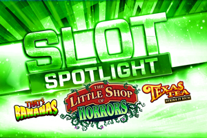 Quil Ceda Creek Casino spotlight for May Slots